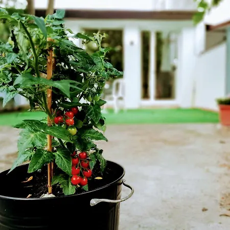Casa Indipendente Con Giardino * Lido delle Nazioni